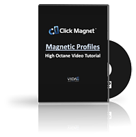 Magnetic Profiles